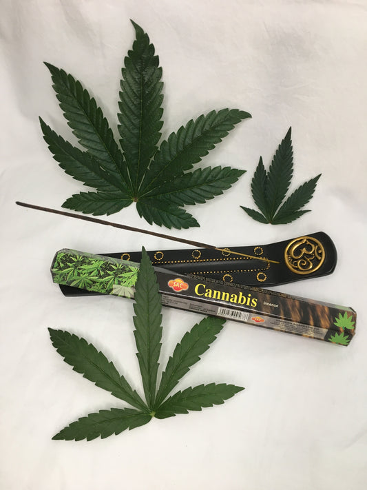 Cannabis Incense sticks 